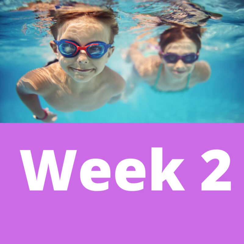 Camp 2 Start Date July 7th - Group 2 Beginners- 2.45pm-3.15pm